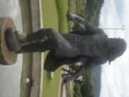 /album/monumento-aos-bandeirantes/dsc04006-jpg/